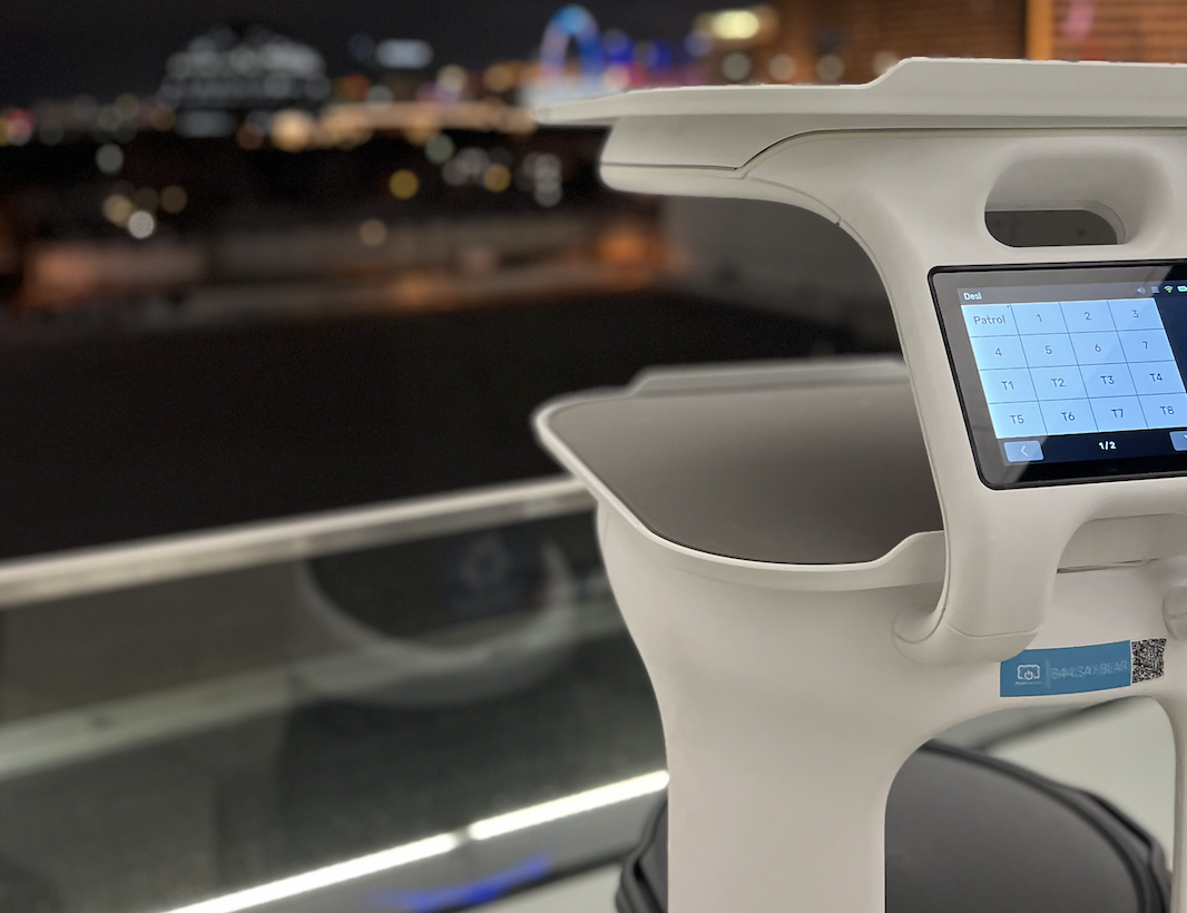 Robot server in airport