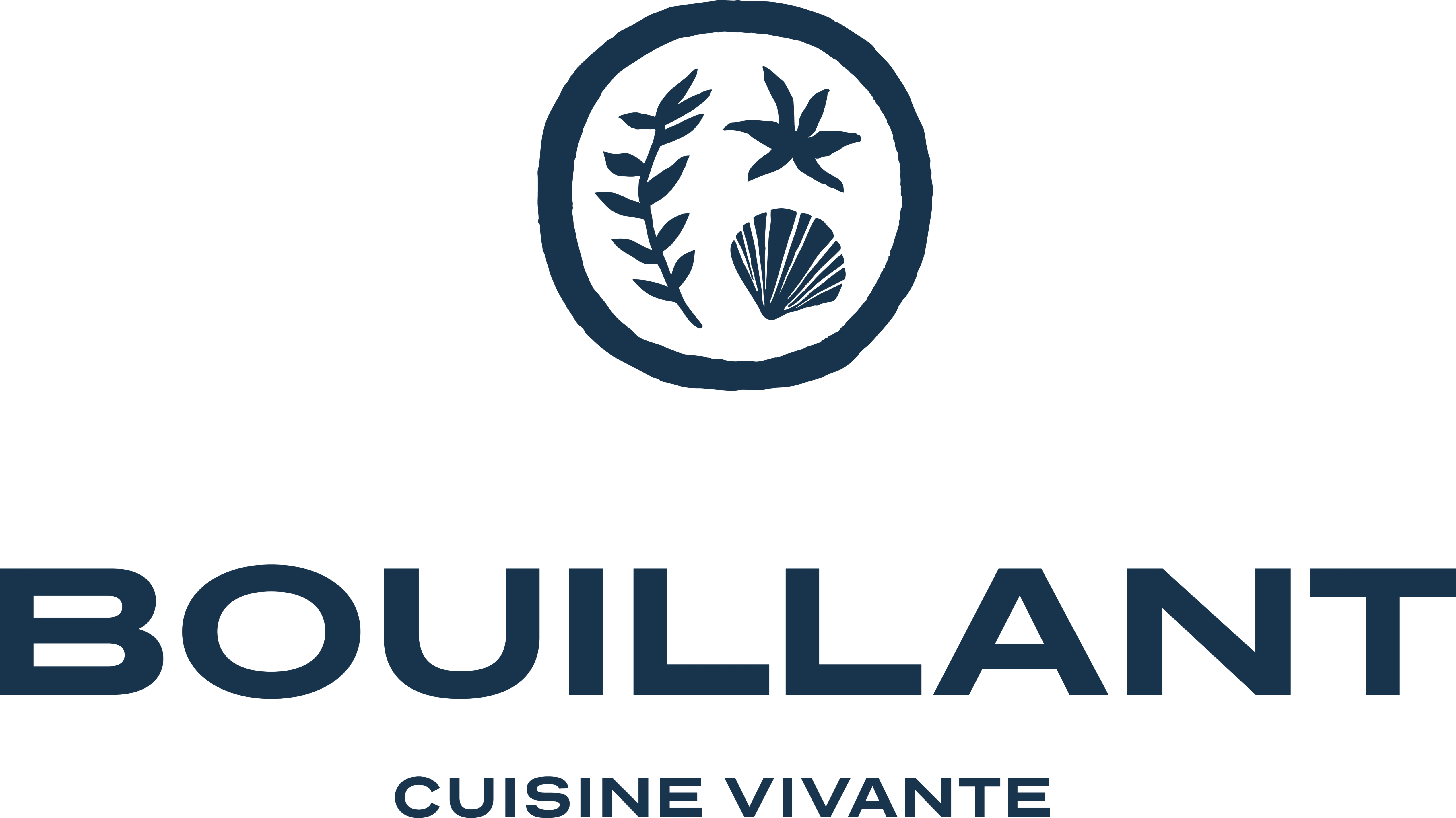 Bouillant logo