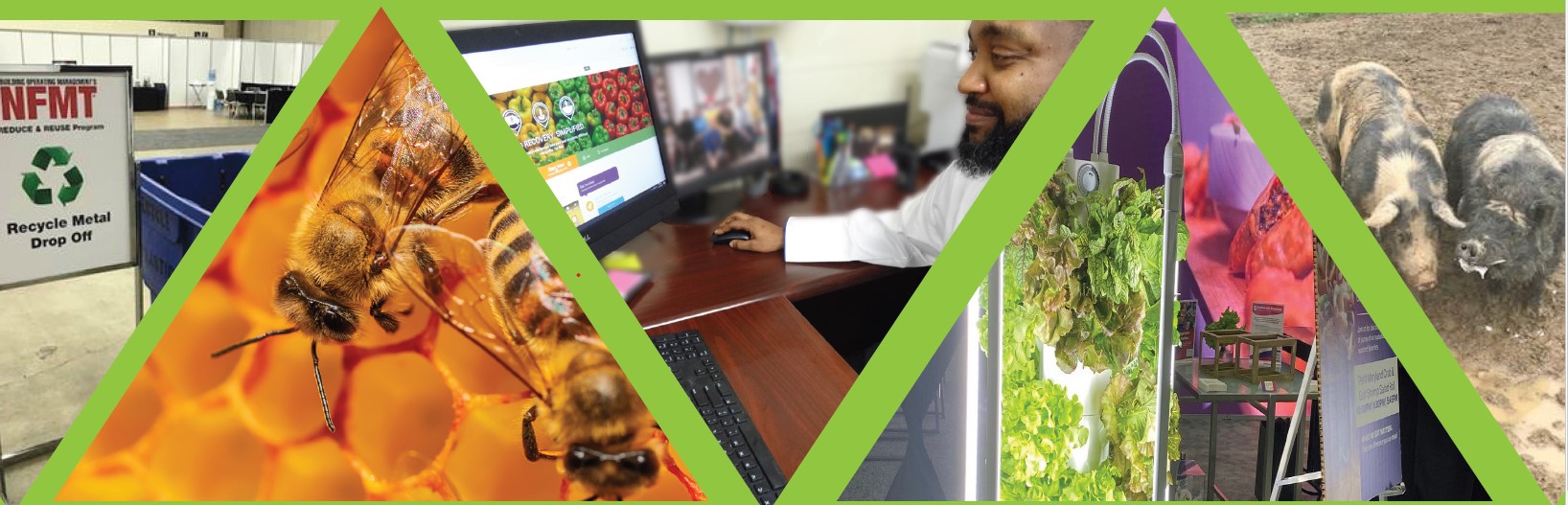 Headshot of woman with short hair