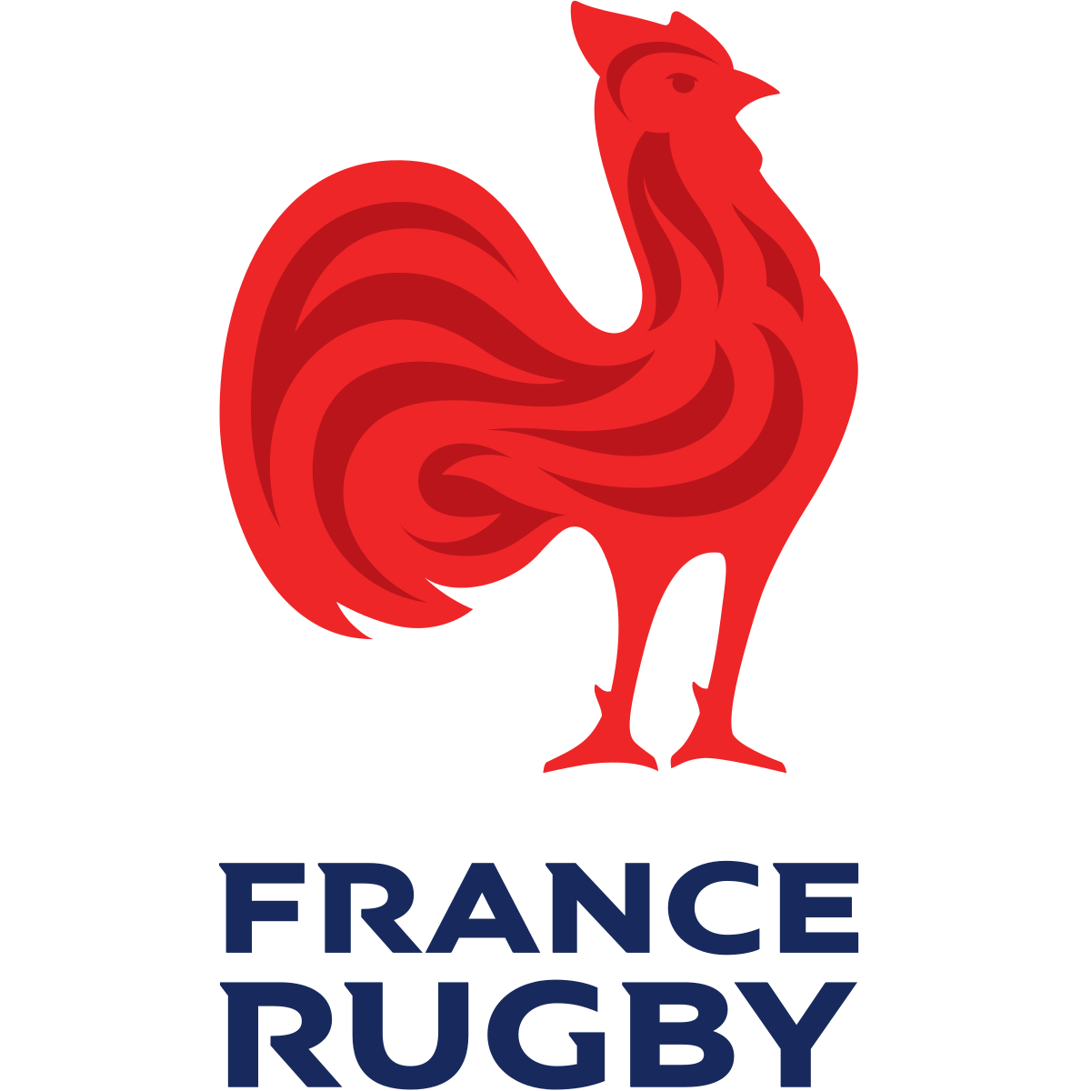 Logo_FFR.png