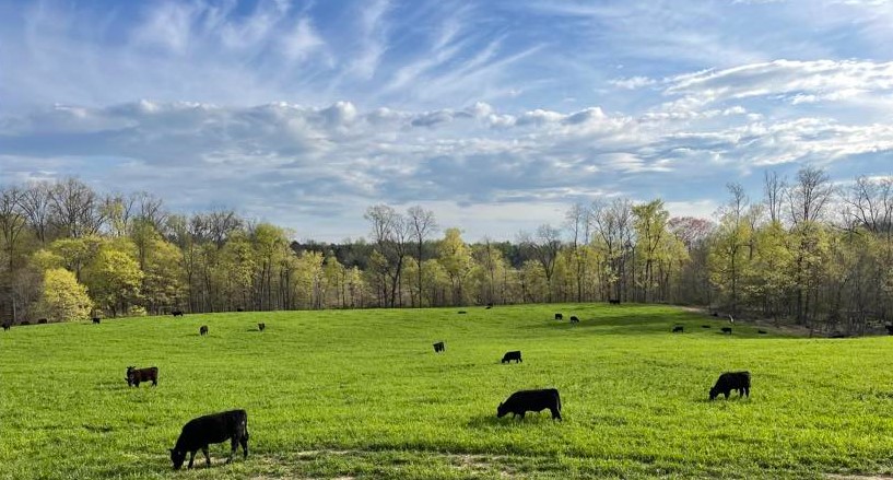 Fisher family holding dog