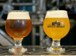 Different kinds of beer in glasses