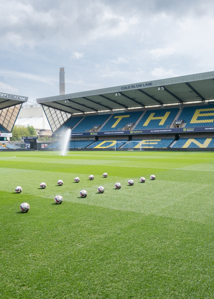 The Den