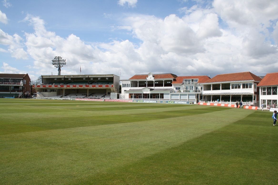 view of the pitch at The Spitfire