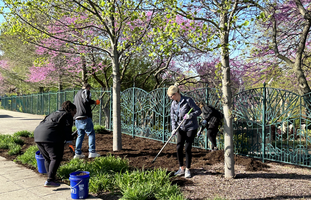 team members cleaning up grass area