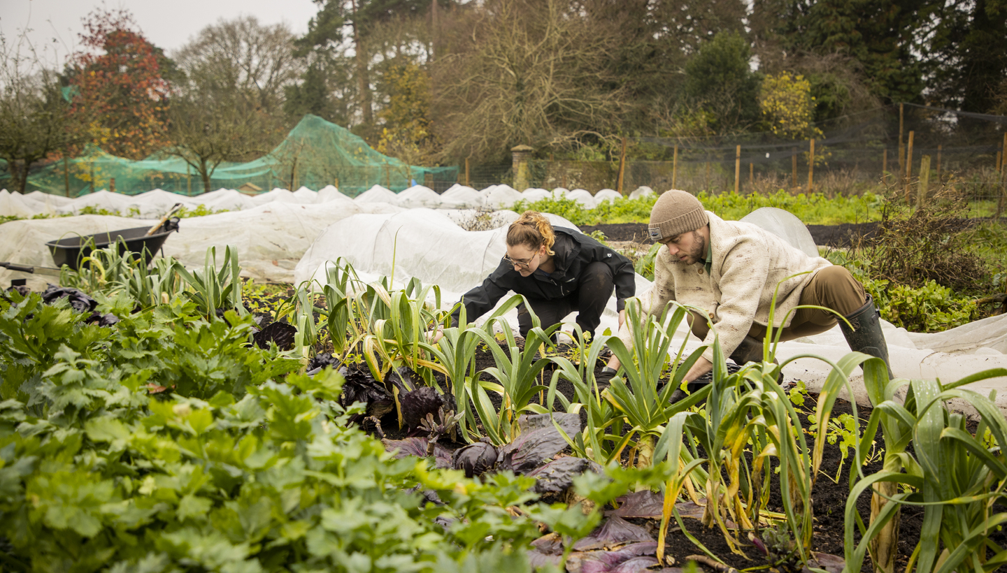 Sodexo Live!’s regenerative farm