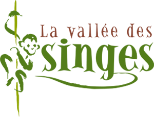 Logo Vallee-des-singes