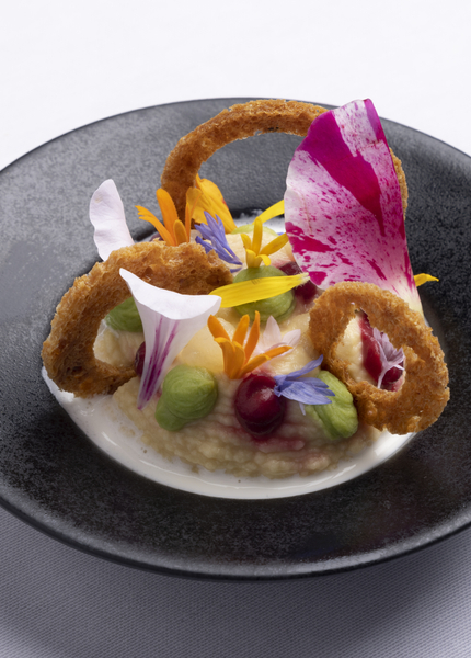 Chickpea Paste, Herbaceous Chickpeas, Green Peas, Smoked Fish Milk