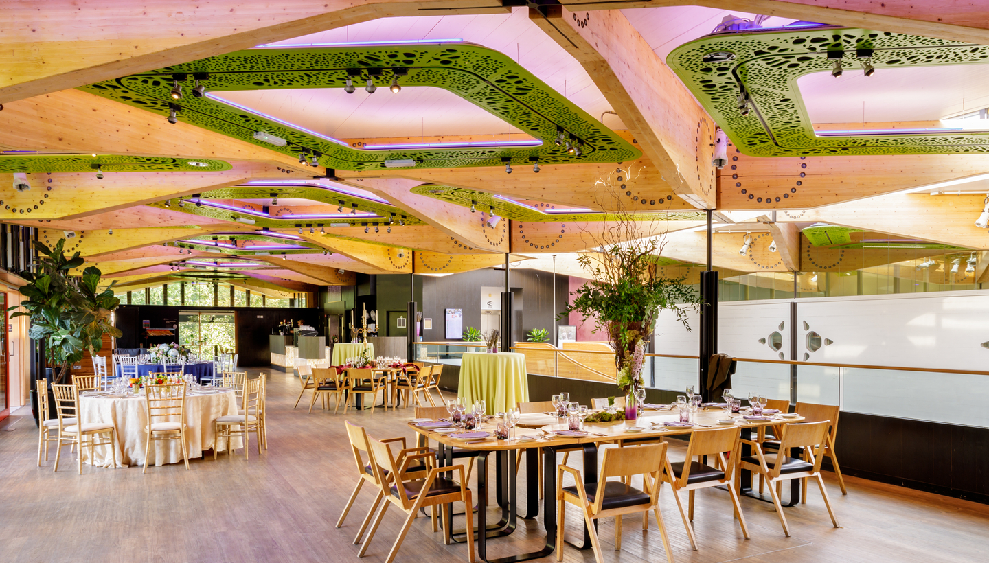 image of the cafe inside RBGE