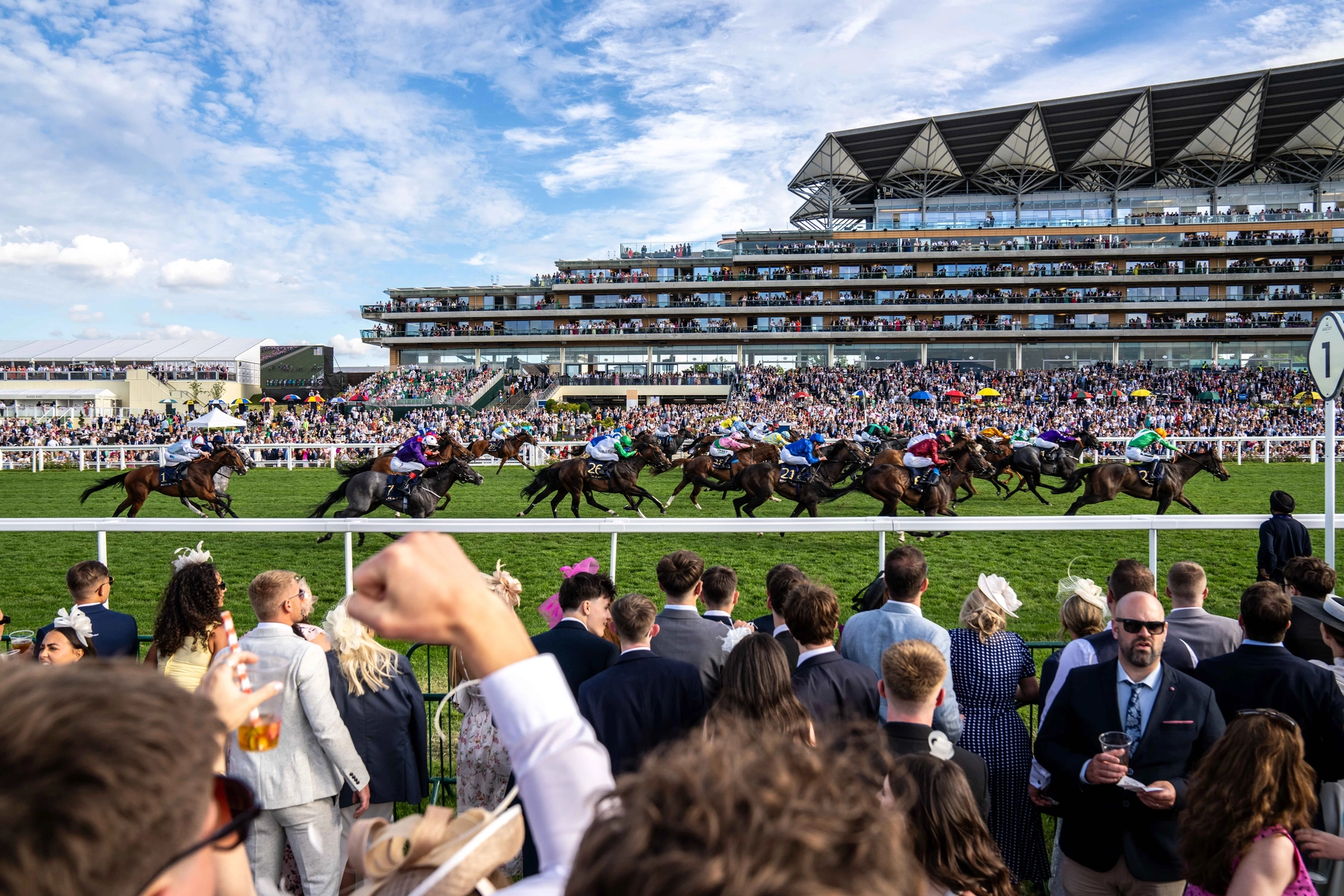 Horses at Royal Ascot