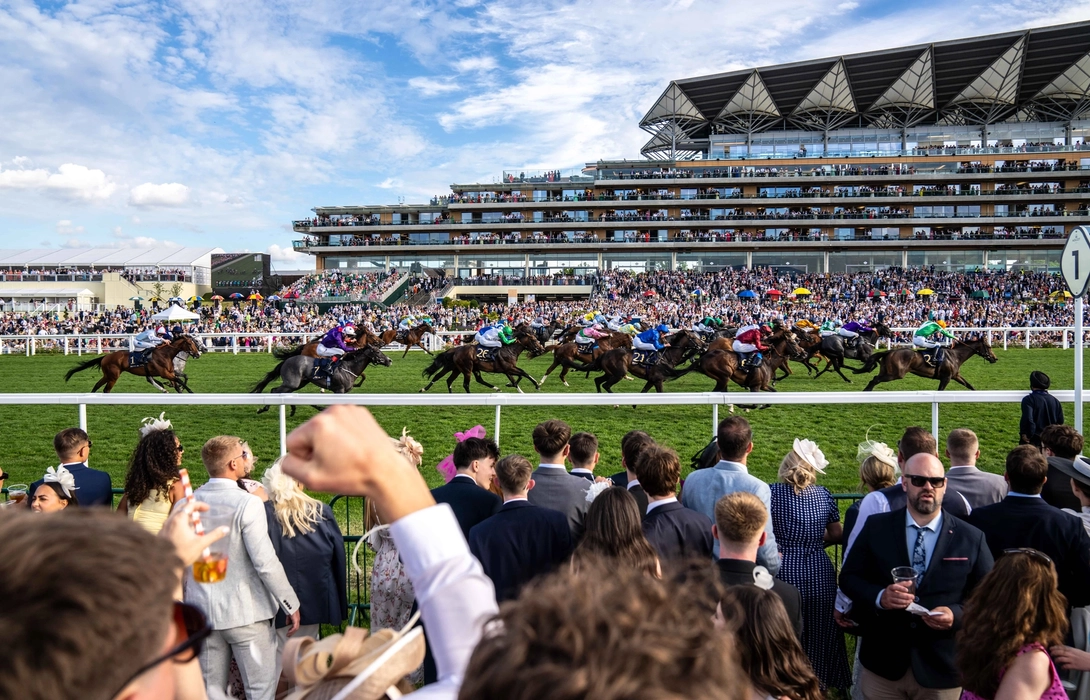 horses running on track