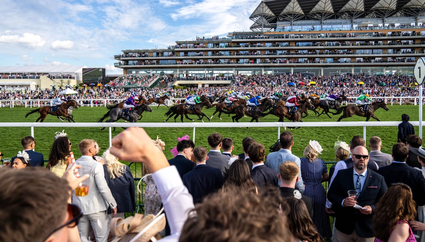 horses running on course with people cheering