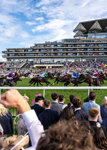 horses racing on track with people cheering