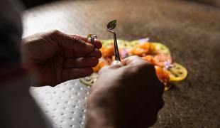 Hand plating food