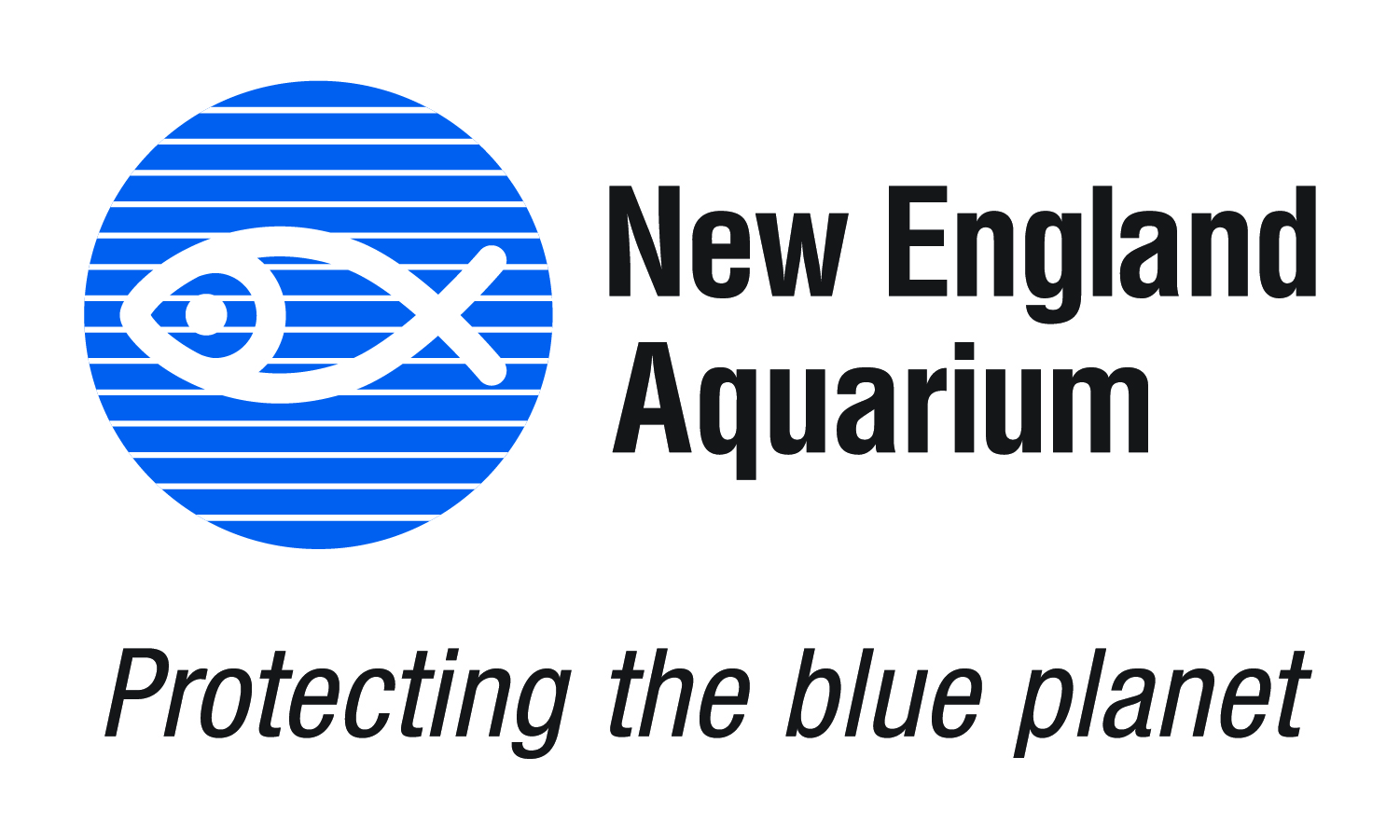 New England Aquarium