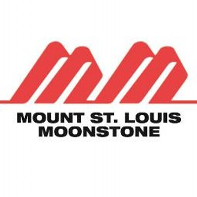 MSLM logo.jpg